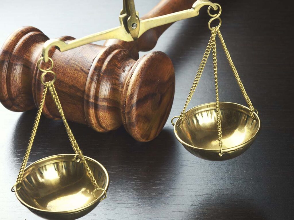 CRO10 25 Citrus Heights Dog Bite Injury Lawyer 2